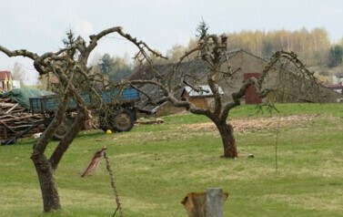 Bożena-Furman-stary-sad