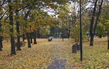 Bożena-Furman-park-miejski-2