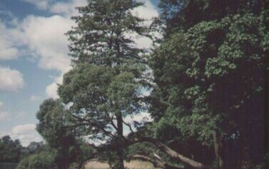 droga-polna