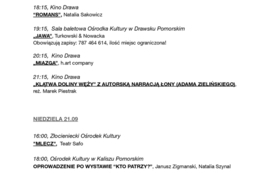 _Informacja Prasowa _14 Festiwal Sztuk Alternatywnych Sztukaterie_page-0002