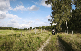 IMG_20260917_170430_1069