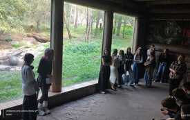 IMG-20261005-WA0006