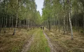 09
