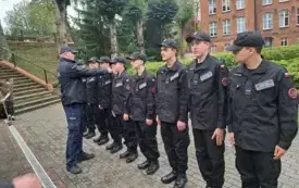 Przegląd przed musztrą