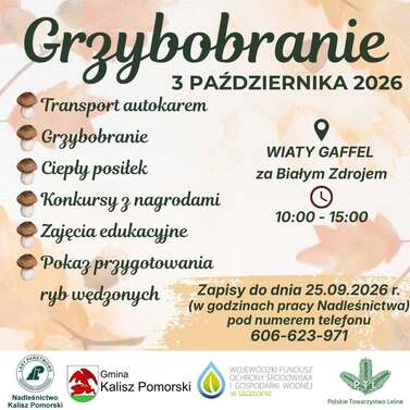 Grzybobranie 2026