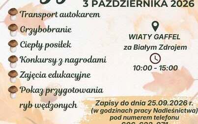 Zdjęcie do GRZYBOBRANIE 2026! &nbsp;