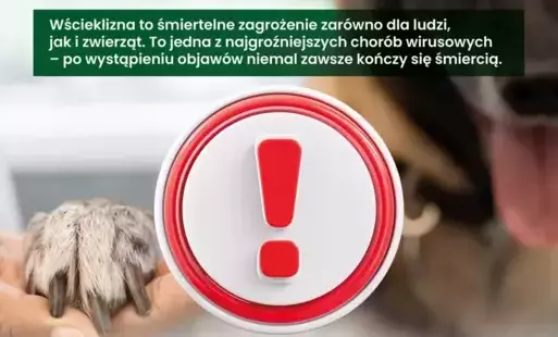 Galeria zdjęć