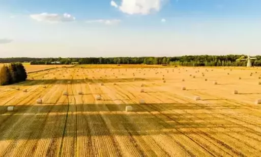 Zdjęcie do INWESTOR POSZUKUJE ZIEMI ROLNEJ NA SPRZEDAŻ